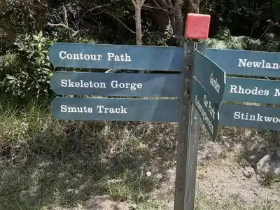 Enjoy the Best Hiking Trails in Bishopscourt