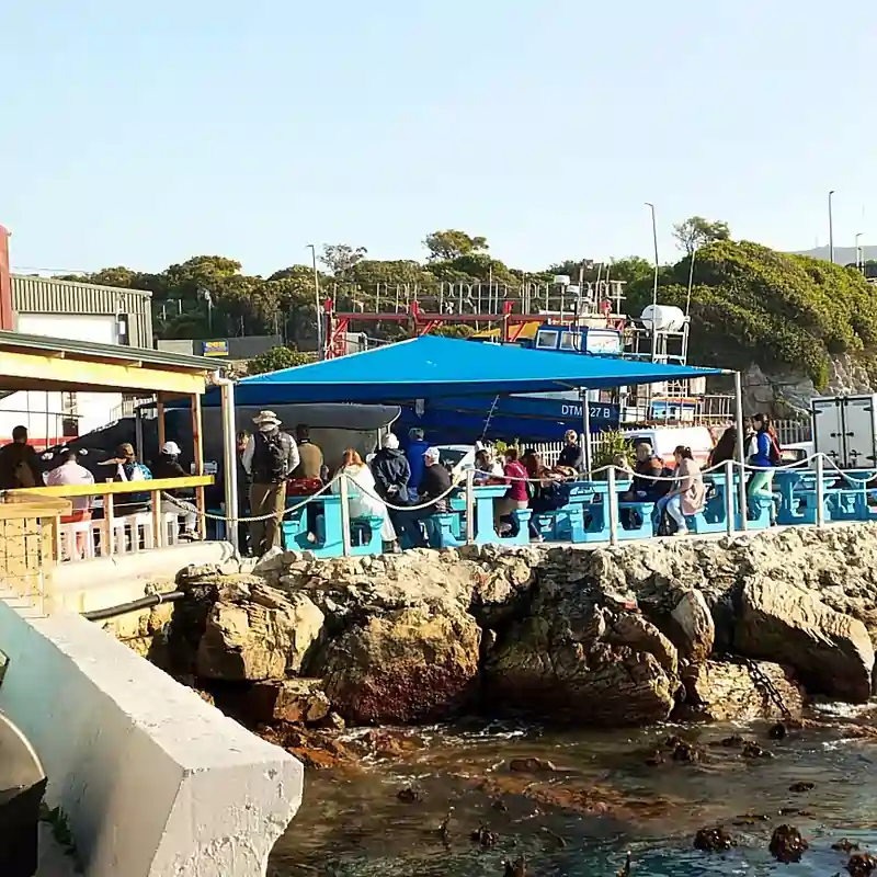 Cape Town Airport to Gansbaai Shuttle Services