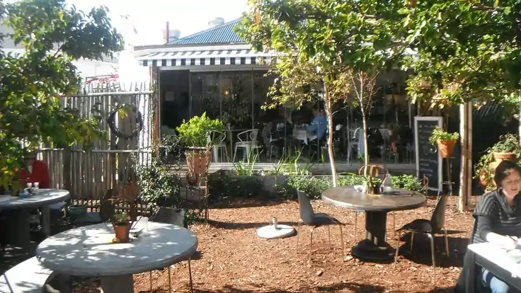 Dine at Starlings Cafe in Rondebosch Cape Town